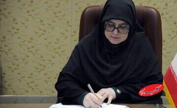 سخنگوی دولت: میدان و دیپلماسی در کنار هم از ایران دفاع میکنند/ مذاکره از موضع اقتدار، ادامه همان دفاع ملی است