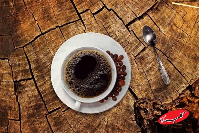 قهوه تهیه شده با مدفوع گربه زباد