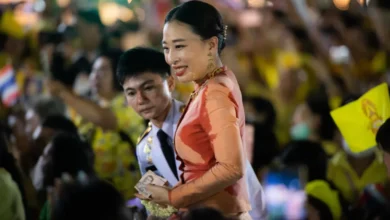 پرنسس باجرا کیتیابها
