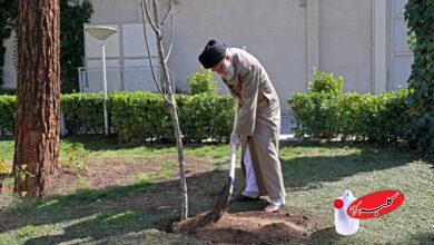 درختکاری - رهبر شهید