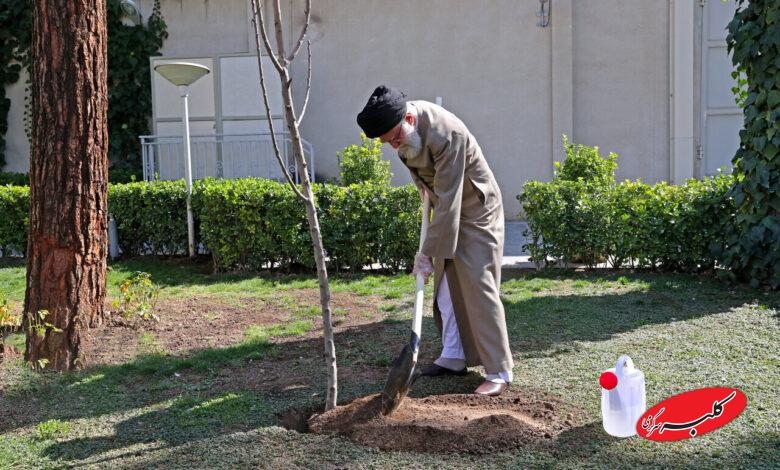 درختکاری - رهبر شهید