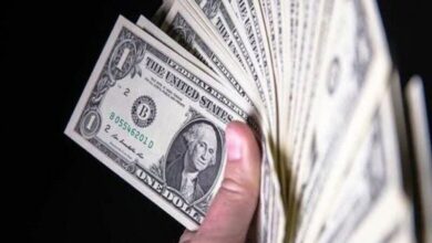پیشبینی قیمت دلار برای فردا پنجشنبه / دلار در مسیر صعود