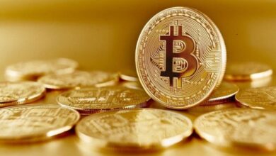 ۱۰ کشور برتر دارنده بیتکوین را بشناسید