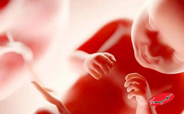جنین در چند ماهگی آگاهی پیدا میکند؟