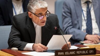 امیر سعید ایروانی