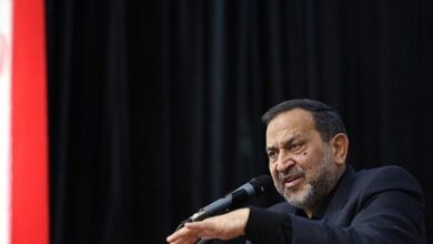 مقدم فر