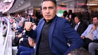 مهدوی کیا