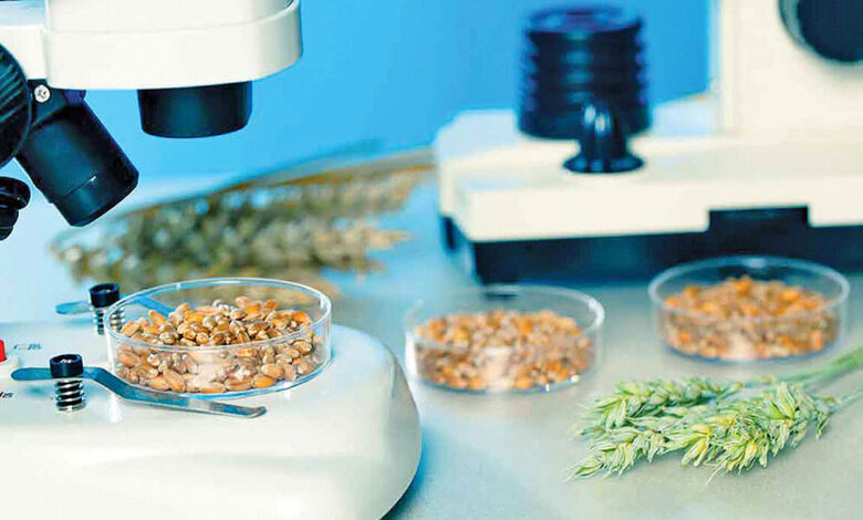 غذای سبز