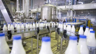 شیر کارخانه ای - شیر صنعتی - شیر - لبنیات - شیر