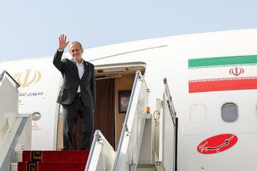 پزشکیان وارد نجف شد