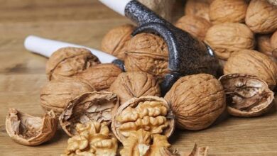 بهترین زمان مصرف گردو
