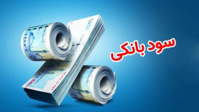 اظهارات رئیس کل بانک مرکزی درباره نرخ سود بانکی