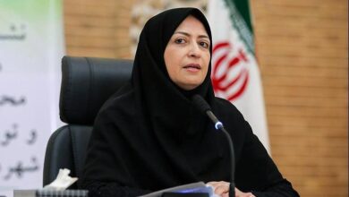 شینا انصاری
