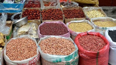 حبوبات