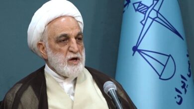 محسنی اژه ای