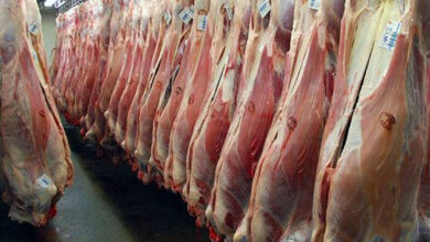 گوشت قرمز