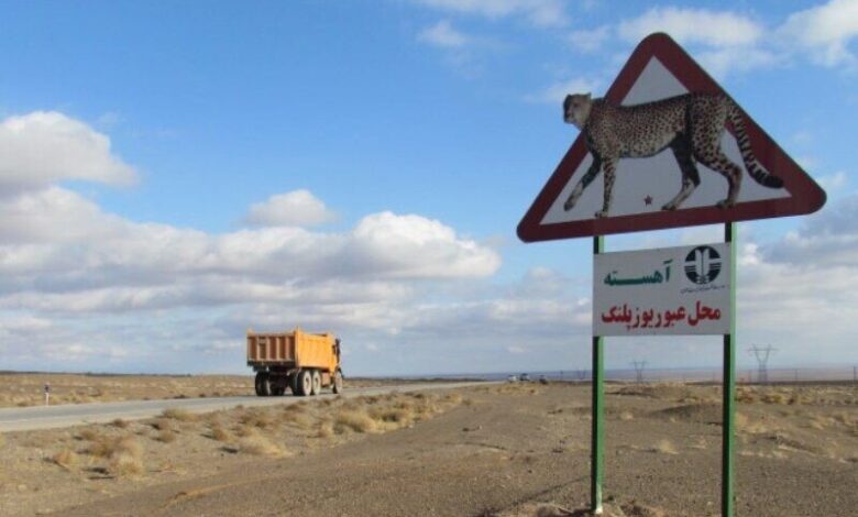یوز