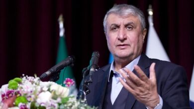 محمد اسلامی، معاون رییس جمهور و رییس سازمان انرژی اتمی