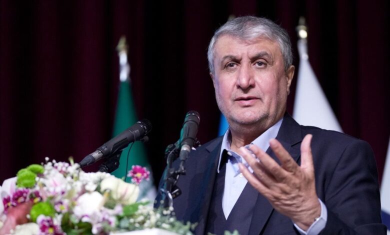 محمد اسلامی، معاون رییس جمهور و رییس سازمان انرژی اتمی