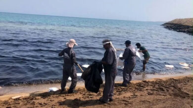 آلودگی نفتی سواحل قشم