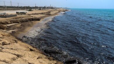 خلیج فارس