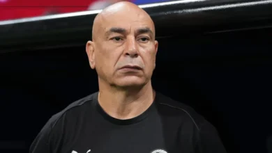 حسام حسن
