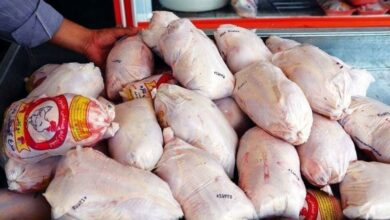 سیگنال دولتی به بازار مرغ/قیمت جدید مرغ