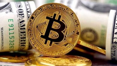 پردهبرداری از بزرگترین کلاهبرداری بیتکوین