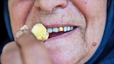 طلای شیرینی که روی درخت خشک میشود و جهان خریدار آن است+ تصاویر