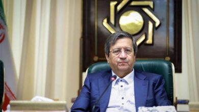 فرمان پولی همتی برای گرهگشایی از تولید