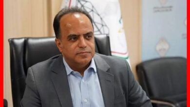 طلای خود را به طلافروشی نسپارید؛ هشدار رئیس اتحادیه درباره سودهای وعدهدادهشده