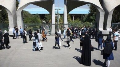 دانشگاه