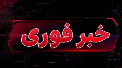 خبر فوری