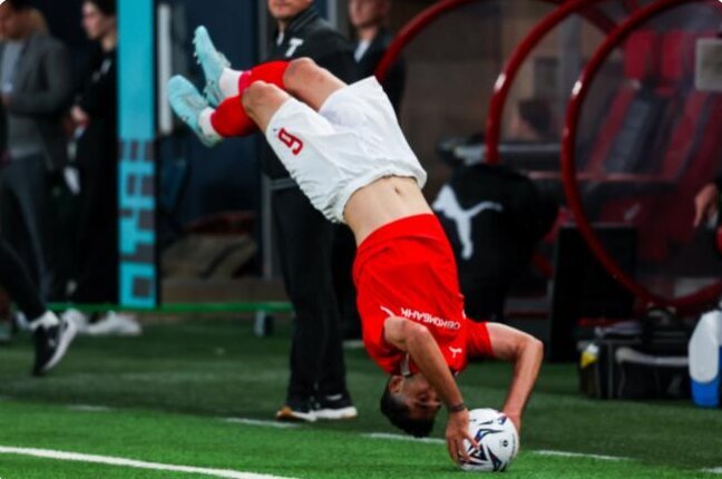 نادر محمدی