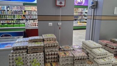 تخممرغ