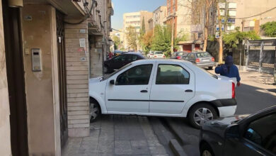 پارک خودرو جلوی در - پارک ممنوع - پارک خودرو جلوی پل