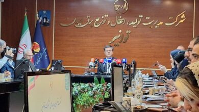 محمد اله داد مدیر عامل توانیر