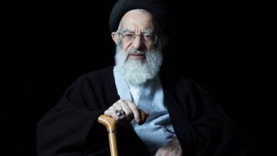 آیت الله شبیری زنجانی