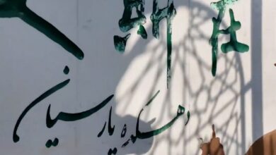 دهکده پارسیان-چین